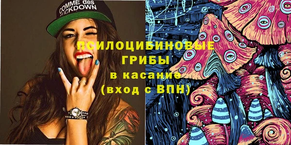 ешки Мегион
