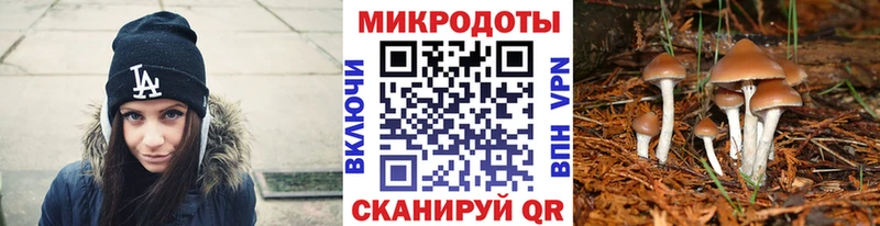 Галлюциногенные грибы GOLDEN TEACHER  наркошоп  Ленинградская 